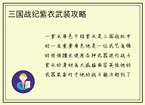 三国战纪紫衣武装攻略